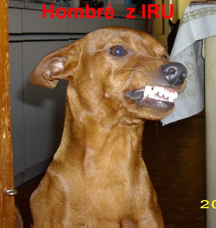 25.2.2011 Hombré z IRU  boční úsměv