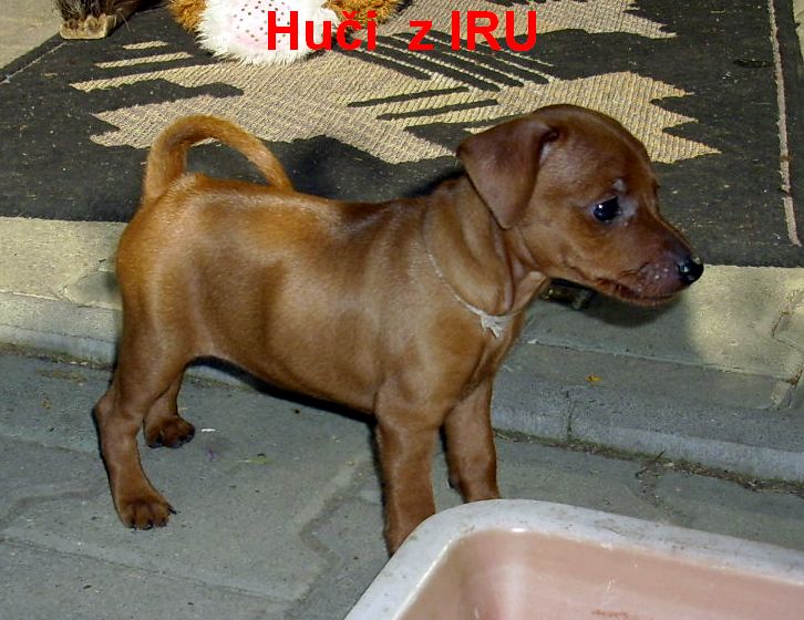 21.9.2010 Huči u vody