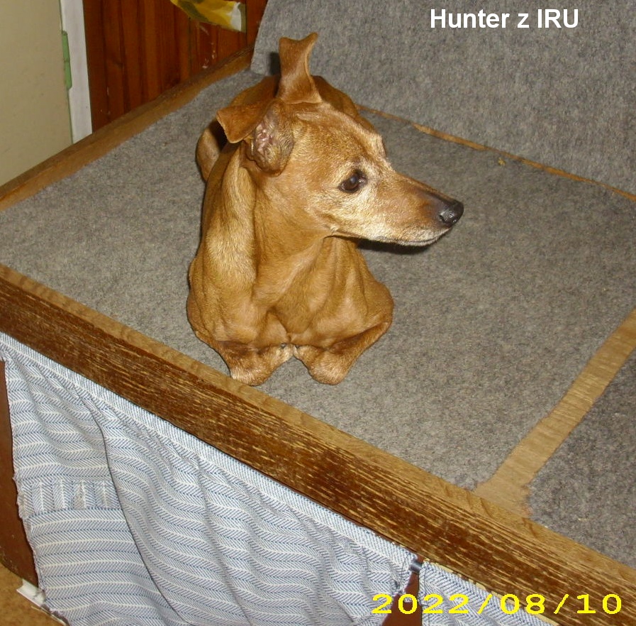10.8.2022 Hunter z IRU ,pozorovatel