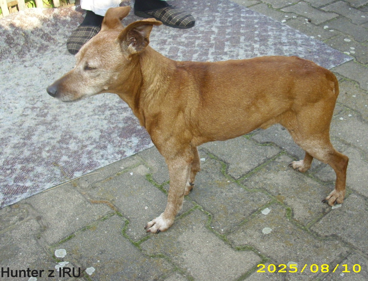 10.8.2025 Hunter z IRU  dědeček ,narozeniny