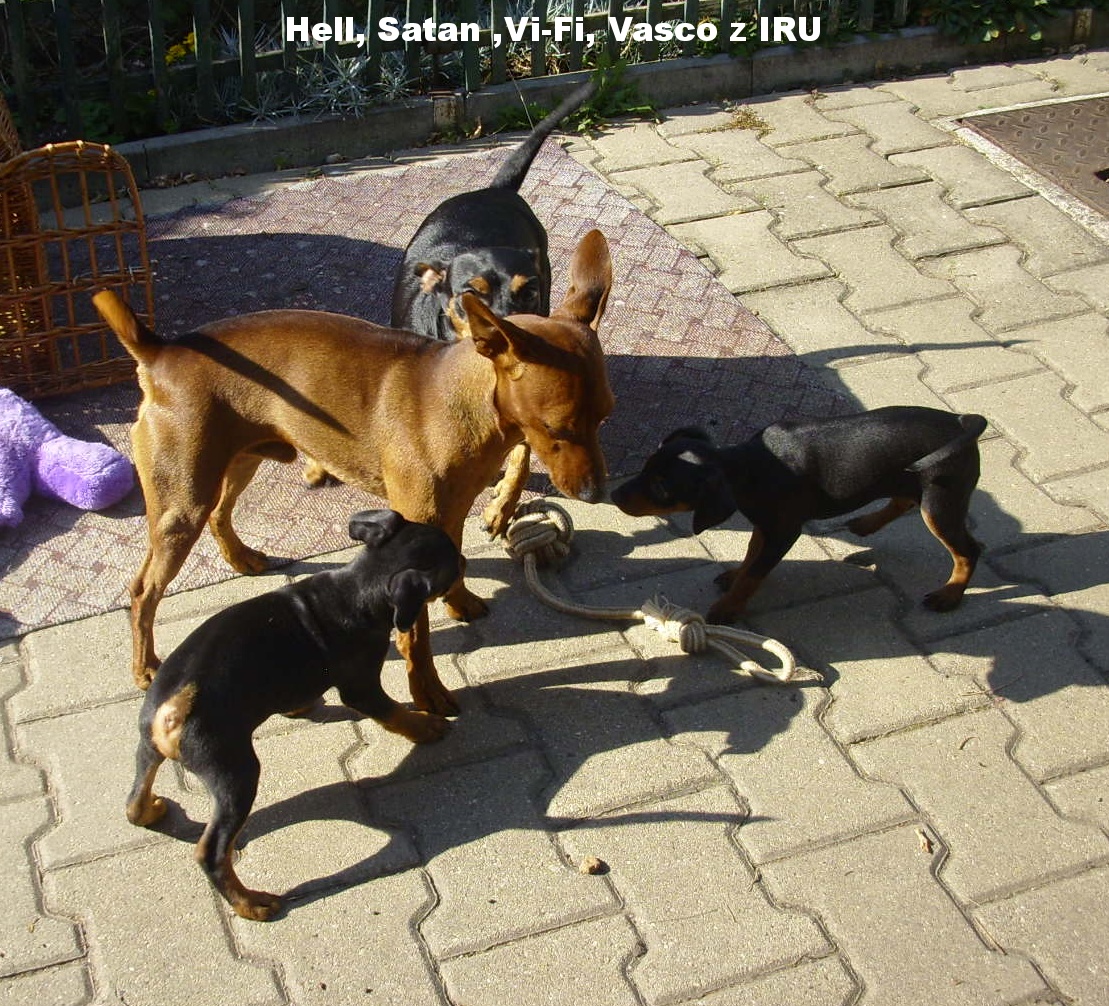 12.10.2018 Hell, Satan ,Vi-Fi a Vasco z IRU ,Hell kontroluje