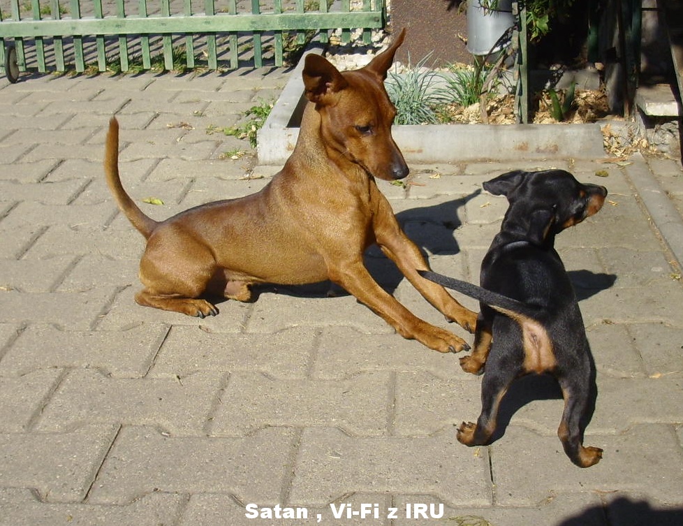 12.10.2018 Satan ,Vi-Fi z IRU baf