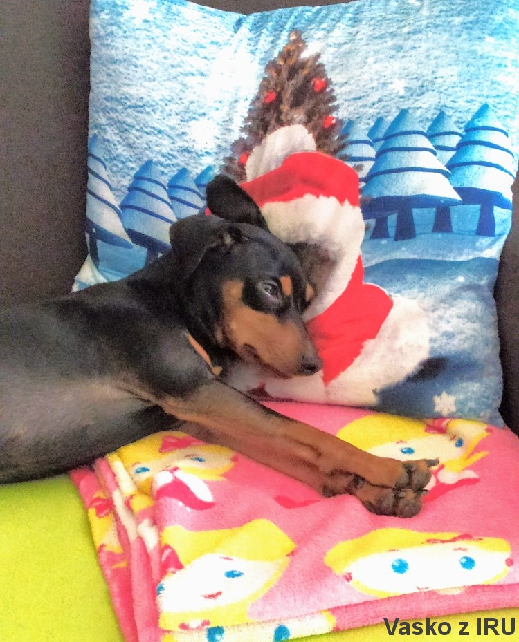 31.12. 2020 Vasko z IRU povaleč