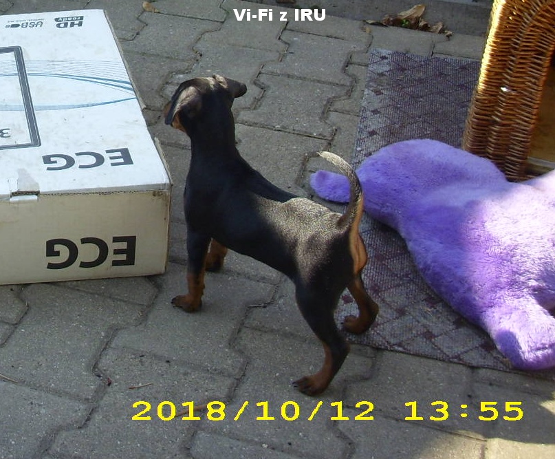 11.10.2018 Vi-Fi z IRU pozorovatelka