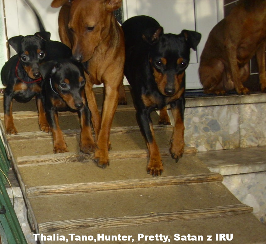 26.11.2017 Thalia,Tano,Hunter,Pretty a Satan z IRU ,neboj já ti pomohu.