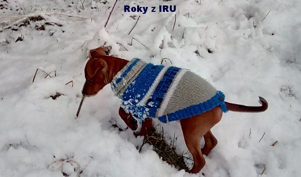 19.12.2016 Roky z IRU ve svetříku