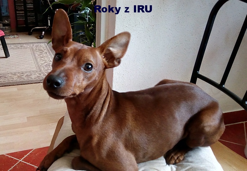 22.9.2017 Roky z IRU