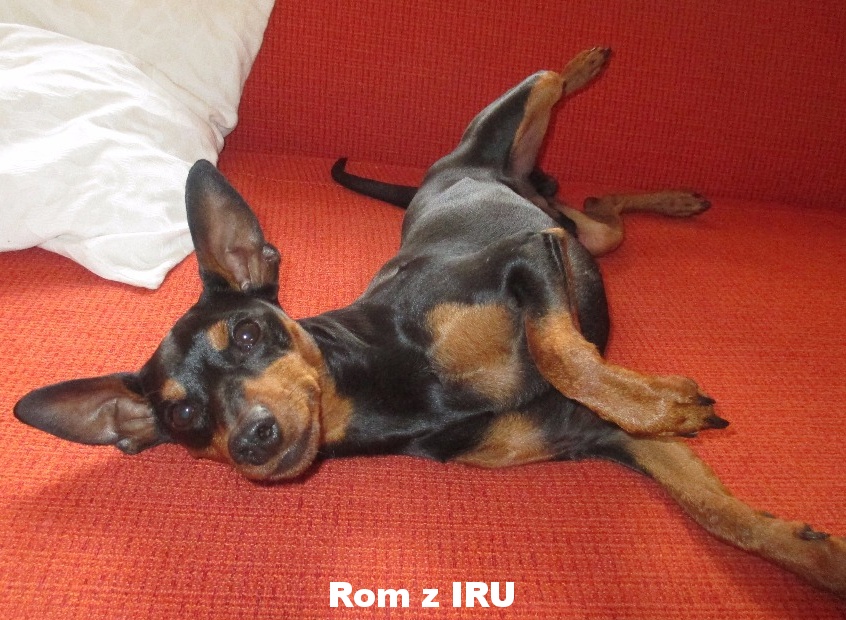 22.9.2017 Rom z IRU  1. narozeniny