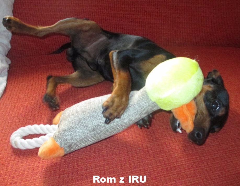 22.9.2017 Rom z IRU narozeniny s dárkem