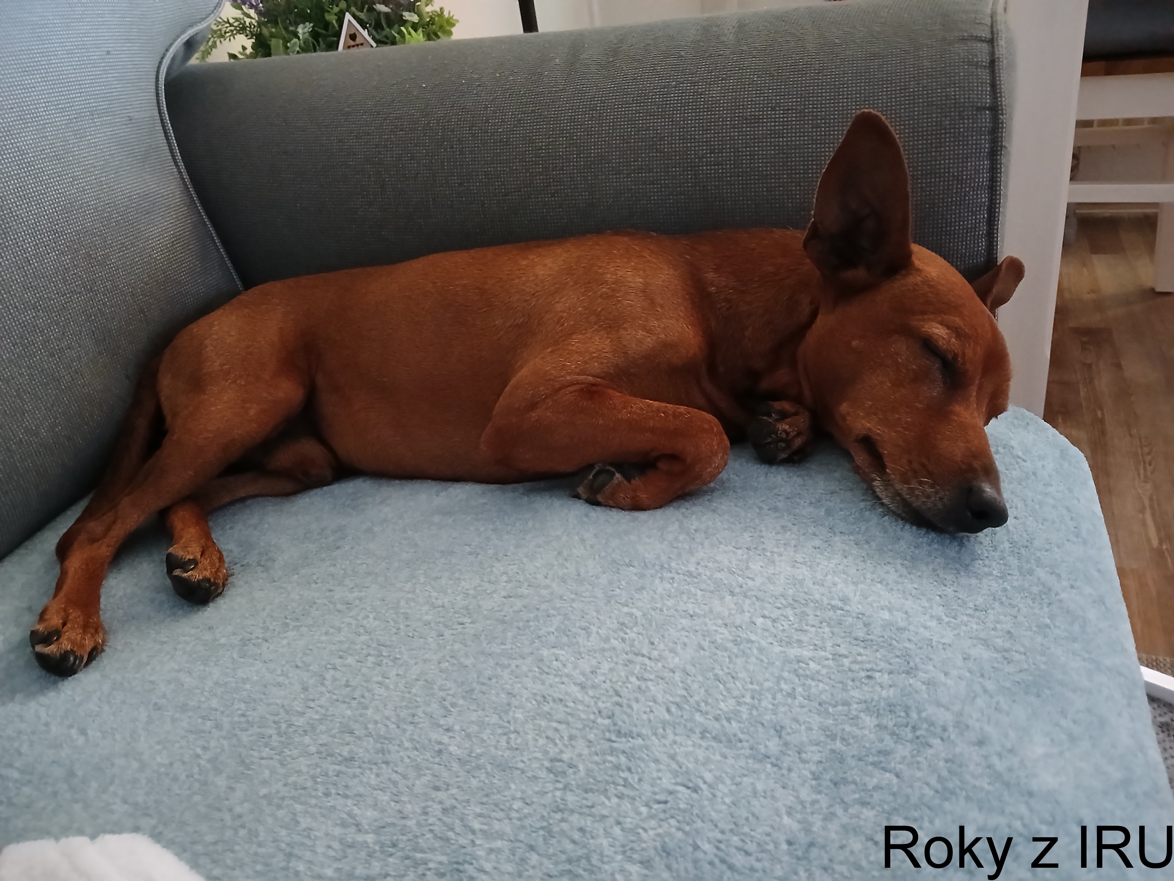 28.6.2025 Roky z IRU pohodička