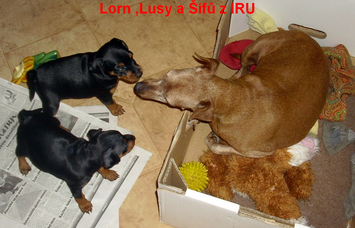 10.1.2014 Lorn,Lusy a Šífů z IRU tak kdo si troufne