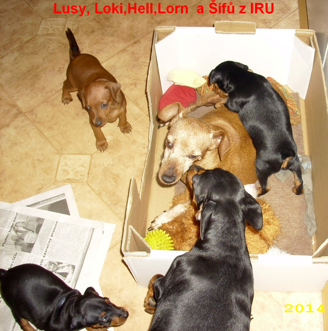 10.1.2014 Lusy,Loki,Hell, Lorn a Šífů z IRU dobývání hradu