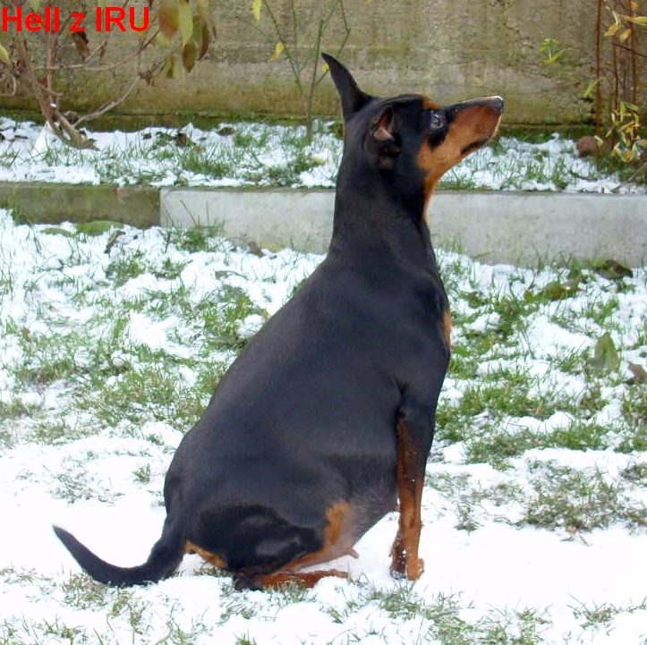 26.11.2013 Hell z IRU pupík z boku