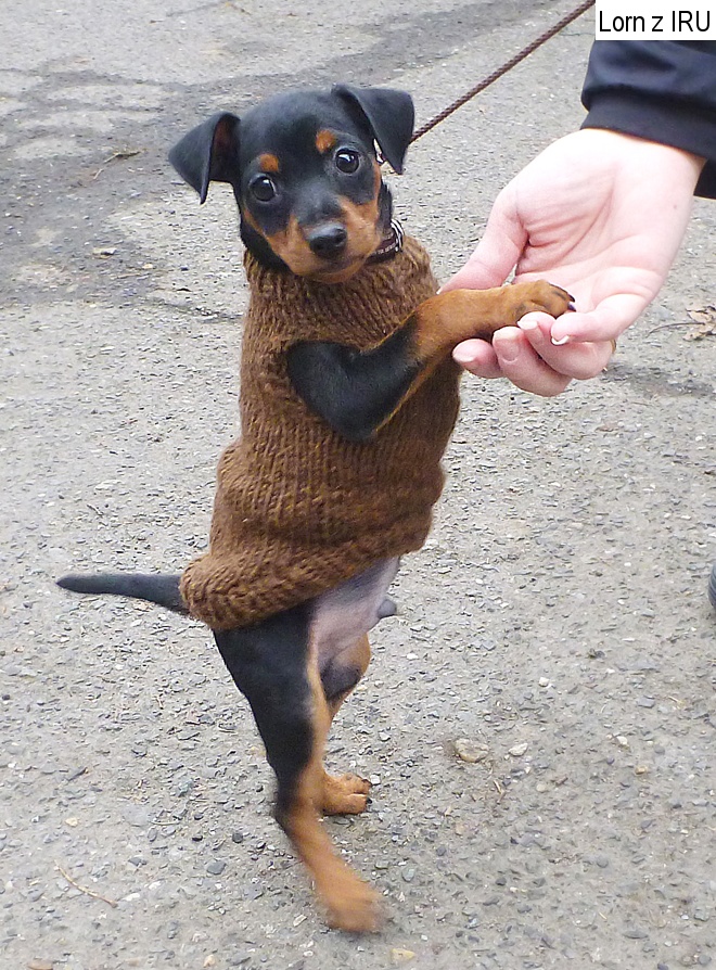 4.2.2014 Lorn z IRU kdyby mě někdo nesl bylo by to lepší