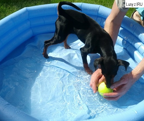 10.7.2014 Lusy z IRU koupačka