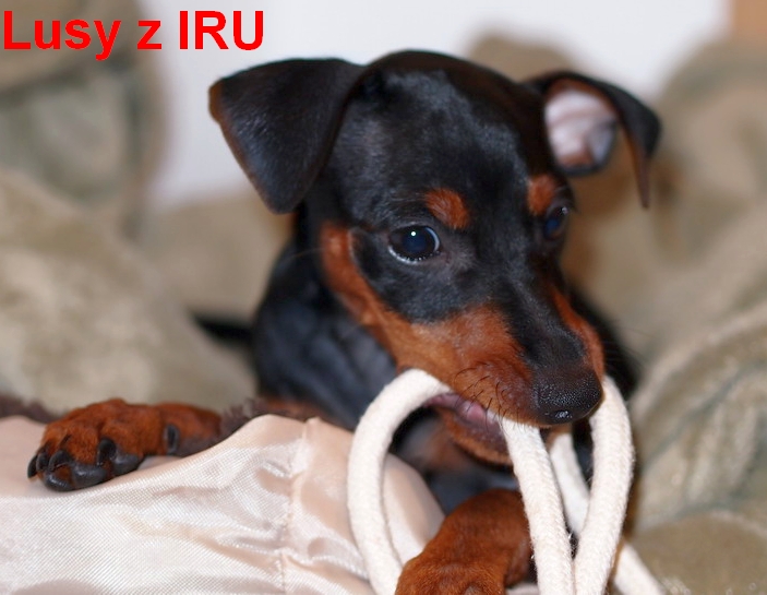 22.3.2014 Lusy z IRU čelem s provazem