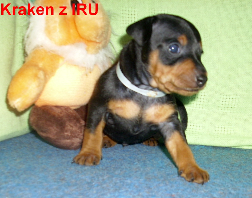 3.3.2013 Kraken z IRU pálení I,v