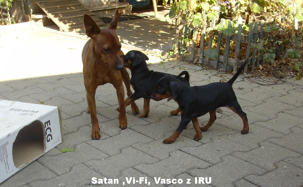 12.10.2018 Satan ,Vi-Fi a Vasco z IRU jdeme na to