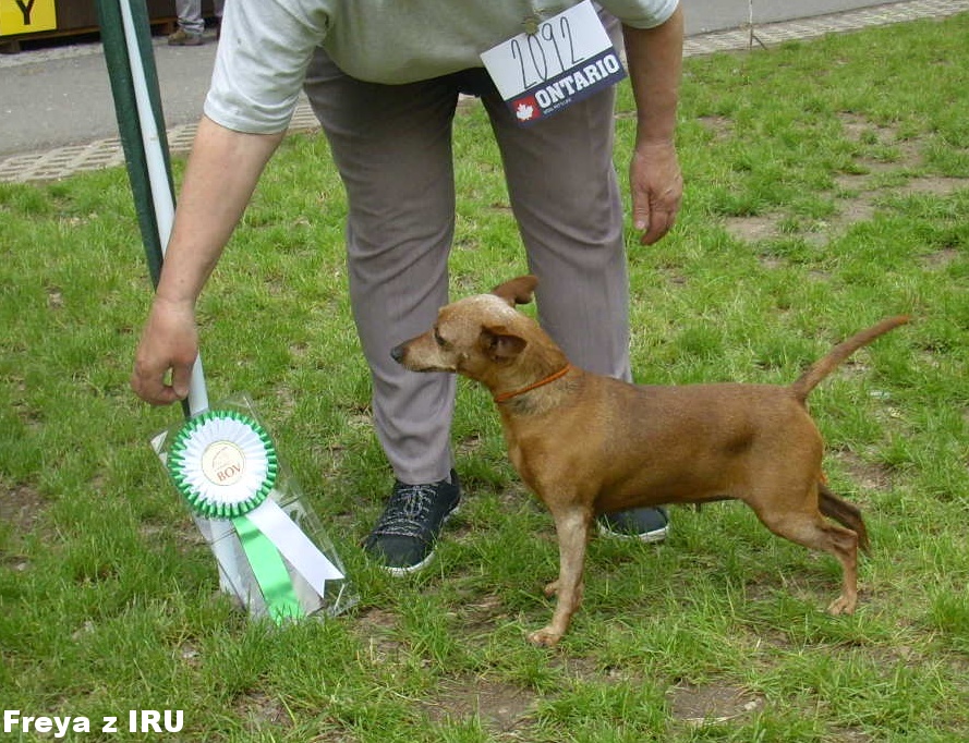 19.5.2019 Freya z IRU postoj BOV ,MVP Litoměřice 2019