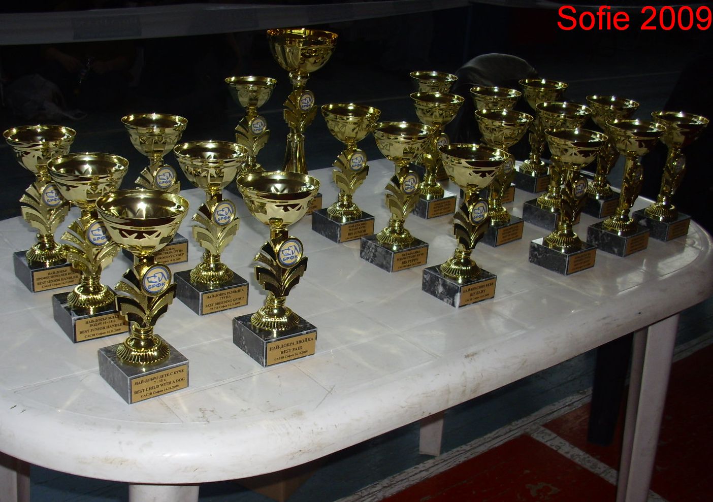 Sofie 2009 poháry.