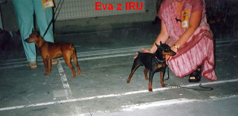 (16) 7.6.1998 Eva z IRU,Nitra,V1,CAC,CACIB,BOB,pes Karo (č,p)