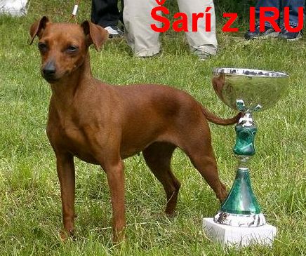 (31) 2.6.2007 Šarí z IRU kl. šampion.R