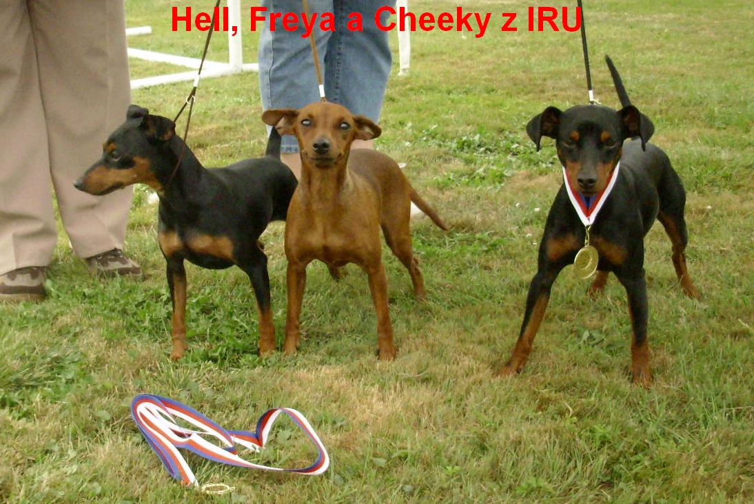 (56) 26.8.2012  Hell ,Freya a Cheeky MVP Ml.Bol.šikování vítězů.top