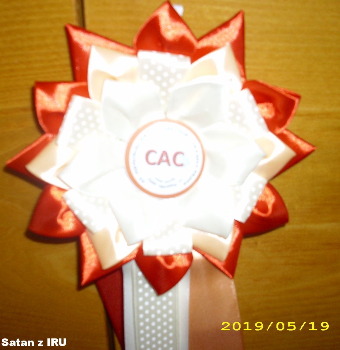 (77) 18.5.2019 Satan z IRU  CAC ,KV. 2019