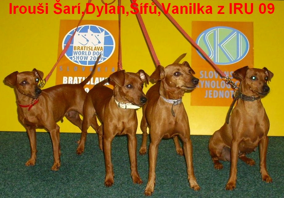 2009 WDS Bratislava , Irouši Šarí,Dylan,Šífů,Vanilka z IRU