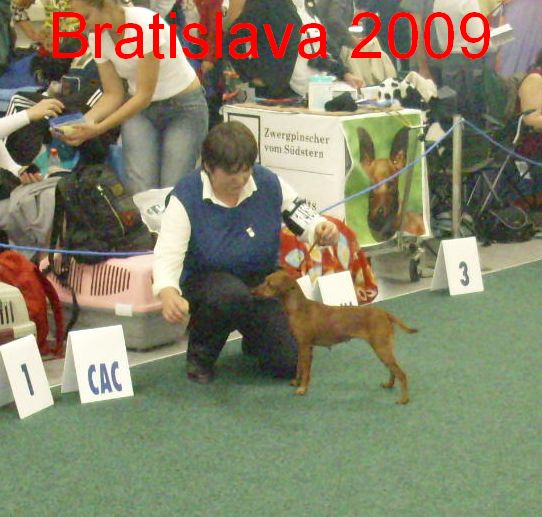 2009 WDS Bratislava, Šífů v kruhu 2