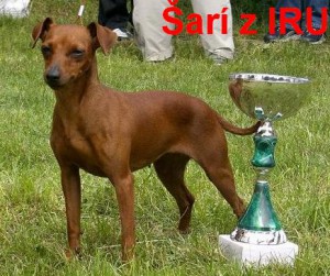 -22--2.6.2007-sari-z-iru-kl.-sampion.r.jpg