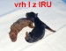 20.5.2012 vrh I1 z IRU