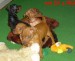 5.9.2010 vrh G1  3