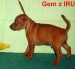 5.9.2010  Gem z IRU bokem
