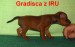 24.8.2010  Gradisca z IRU stojí bokem