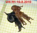 10.8.2010 vrh H1