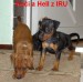 21.9.2010 Huči a Hell na schodech