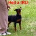 27.5.2012 MVP Litoměřice , Hell z IRU neví co s ušima