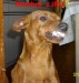 25.2.2011 Hombré z IRU  boční úsměv