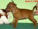 17.9.2010 Huči z IRU 2 stojí  G