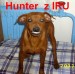 25.2.2011 Hunter z IRU  úsměv