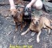 4.7.2021 Roky,Nuru z IRU a kamarád Alf na výletě