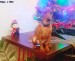 25.12.2016 Rája z IRU